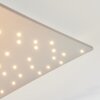 Madrier Lampa Sufitowa LED Nikiel matowy, Biały, 1-punktowy, Zdalne sterowanie
