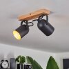 Vergoignan Lampa Sufitowa Ecru, Czarny, 2-punktowe