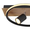 Globo DANNY Lampa Sufitowa LED Brązowy, Wygląd drewna, Czarny, 3-punktowe