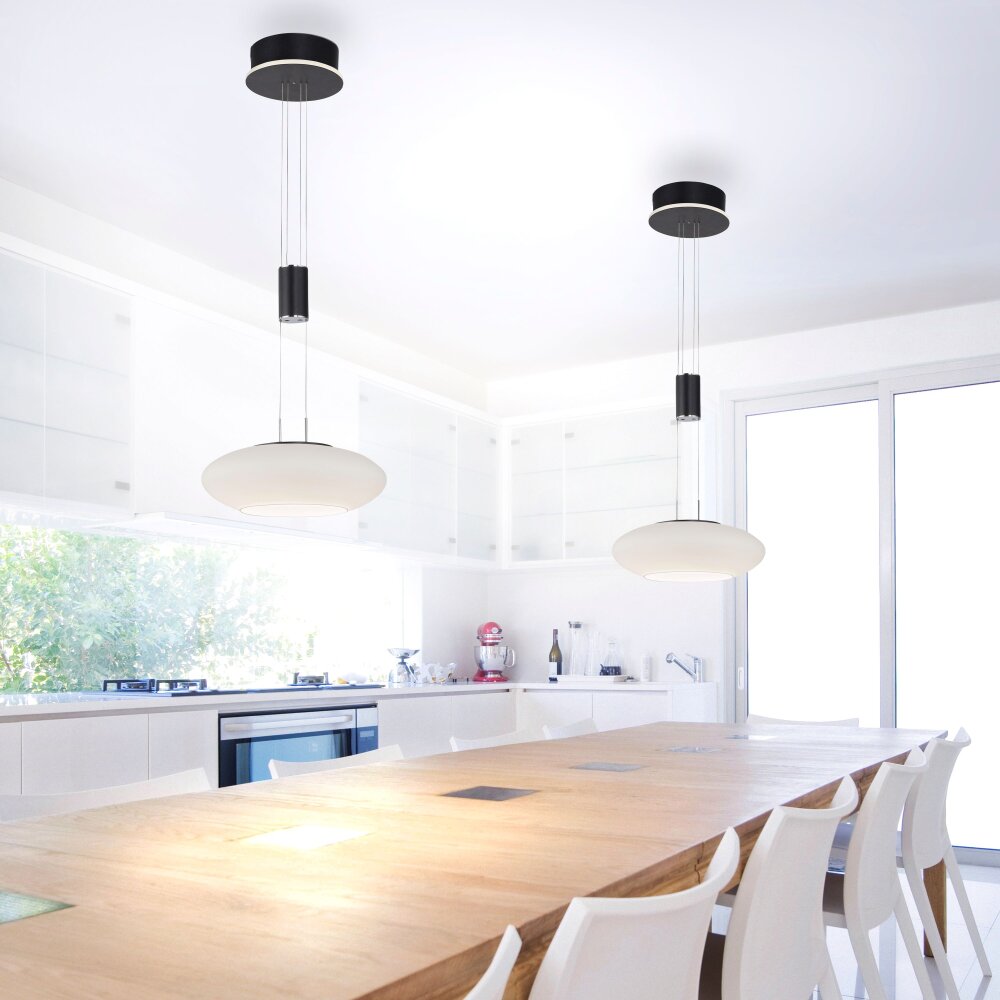 Paul Neuhaus Q-ETIENNE Lampa Wisząca LED Czarny, 1-punktowy, Zdalne sterowanie main product photo