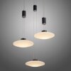 Paul Neuhaus LAUTADA Lampa Wisząca LED Czarny, 3-punktowe