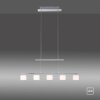 Paul Neuhaus HYDRA Lampa Wisząca LED Stal szczotkowana, 5-punktowe