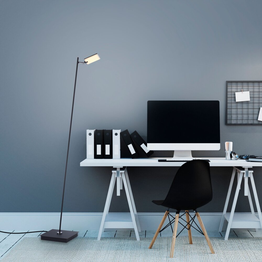 Paul Neuhaus PURE-MIRA Lampa Stojąca LED Czarny, 1-punktowy, Zdalne sterowanie main product photo