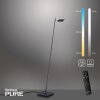 Paul Neuhaus PURE-MIRA Lampa Stojąca LED Czarny, 1-punktowy, Zdalne sterowanie