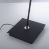 Paul Neuhaus PURE-MIRA Lampa Stojąca LED Czarny, 1-punktowy, Zdalne sterowanie