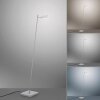 Paul Neuhaus PURE-MIRA Lampa Stojąca LED Aluminium, 1-punktowy, Zdalne sterowanie