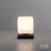 Paul Neuhaus DADOA lampka nocna LED Antracytowy, 1-punktowy