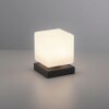 Paul Neuhaus DADOA lampka nocna LED Antracytowy, 1-punktowy
