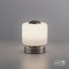 Paul Neuhaus BOTA lampka nocna LED Stal szczotkowana, 1-punktowy