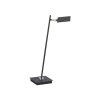 Paul Neuhaus PURE-MIRA lampka nocna LED Czarny, 1-punktowy, Zdalne sterowanie