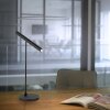 Paul Neuhaus PURE-TUTUA lampka nocna LED Czarny, 1-punktowy