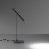 Paul Neuhaus PURE-TUTUA lampka nocna LED Czarny, 1-punktowy