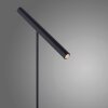 Paul Neuhaus PURE-TUTUA lampka nocna LED Czarny, 1-punktowy