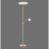 Paul Neuhaus TROJA Lampa Stojąca oświetlająca sufit LED Mosiądz, 1-punktowy