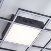 Paul Neuhaus Q-ASMIN Lampa Sufitowa LED Czarny, 1-punktowy, Zdalne sterowanie