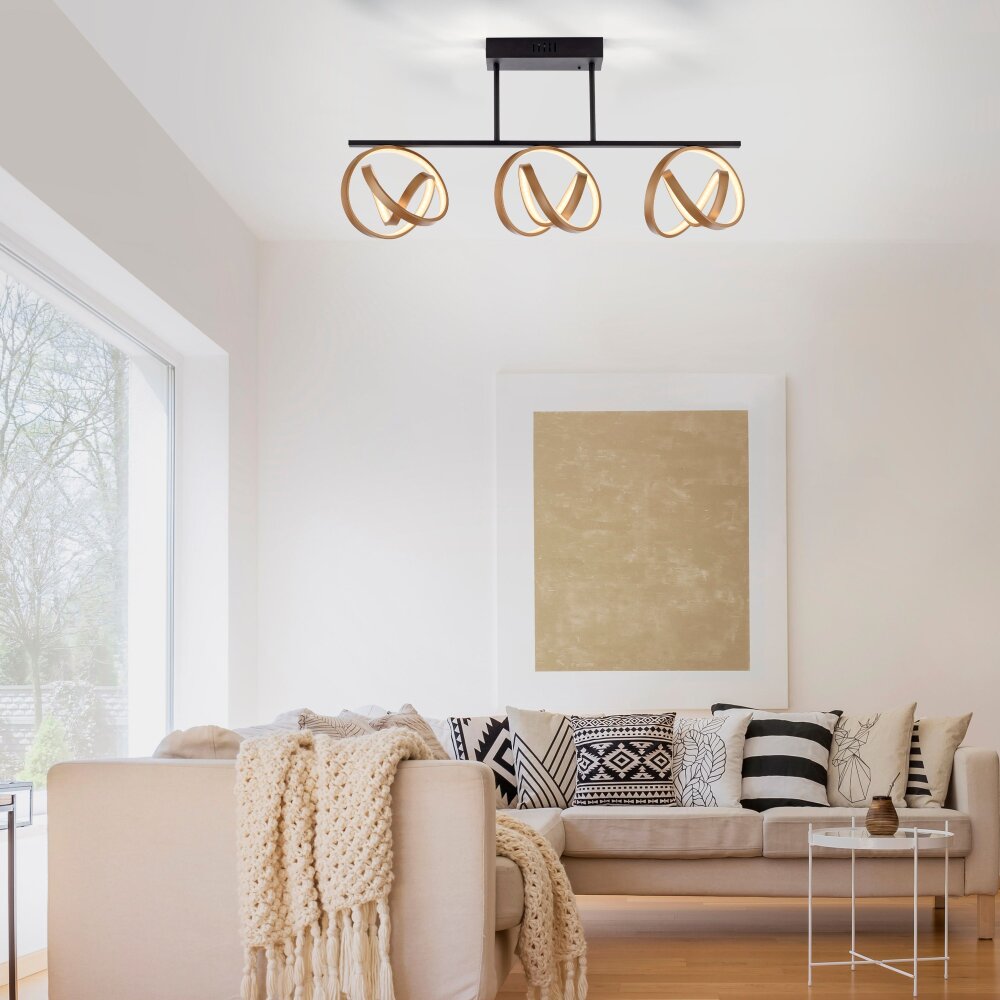 Paul Neuhaus LOOP Lampa Sufitowa LED Mosiądz, Czarny, 3-punktowe, Zdalne sterowanie main product photo