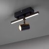 Paul Neuhaus BARIK Lampa ścienna LED Czarny, 1-punktowy