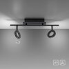 Paul Neuhaus SILEDA Lampa Sufitowa Antracytowy, 2-punktowe