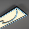 Paul Neuhaus SERPENT Lampa Sufitowa LED Czarny, 1-punktowy, Zdalne sterowanie, Zmieniacz kolorów