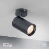 Paul Neuhaus PURE-TECHNIK Lampa Sufitowa LED Czarny, 1-punktowy