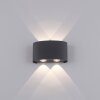 Paul Neuhaus CARLO Lampa ścienna LED Antracytowy, 4-punktowe
