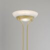 Leuchten-Direkt ZAHARA Lampa Stojąca oświetlająca sufit LED Mosiądz, 2-punktowe