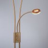 Leuchten-Direkt HELIA Lampa Stojąca oświetlająca sufit LED Mosiądz, 3-punktowe