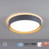 Leuchten-Direkt EMILIA Lampa Sufitowa LED Szary, Ecru, 1-punktowy