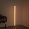 Leuchten-Direkt RINGO Lampa Stojąca LED Srebrny, 1-punktowy, Zdalne sterowanie, Zmieniacz kolorów