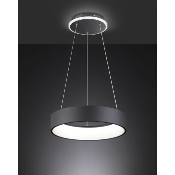 Wofi-Leuchten SHAY Lampa Wisząca LED Czarny, 1-punktowy