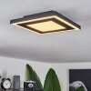 Audrieu Lampa Sufitowa LED Czarny, 2-punktowe