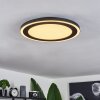 Audrieu Lampa Sufitowa LED Czarny, 2-punktowe