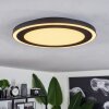 Audrieu Lampa Sufitowa LED Czarny, 2-punktowe