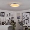 Ral Lampa Sufitowa LED Srebrny, Biały, 1-punktowy, Zdalne sterowanie, Zmieniacz kolorów
