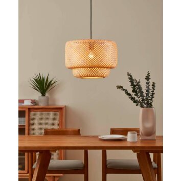Eglo HETTONLE Lampa Wisząca czarny, 1-punktowy