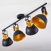 Lampa Sufitowa Blackburn Czarno-złoty, 4-punktowe