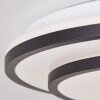 Brilliant Luciano Lampa Sufitowa LED Czarny, Biały, 1-punktowy, Zdalne sterowanie