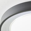 Brilliant Florella Lampa Sufitowa LED Czarny, Biały, 1-punktowy, Zdalne sterowanie, Zmieniacz kolorów