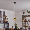 Koyoto  Lampa Wisząca Szkło 15 cm Złoty, Przezroczysty, 1-punktowy