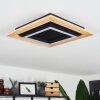 Tojeirinha Lampa Sufitowa LED Jasne drewno, Czarny, 1-punktowy, Zdalne sterowanie