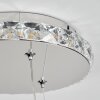 Avelar Lampa Wisząca LED Chrom, Przezroczysty, 1-punktowy