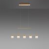 Paul Neuhaus HYDRA Lampa Wisząca LED Mosiądz, 5-punktowe