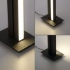 Paul Neuhaus PURE-LINES Lampa Stojąca LED Antracytowy, 1-punktowy, Zdalne sterowanie