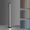 Paul Neuhaus PURE-LINES Lampa Stojąca LED Antracytowy, 1-punktowy, Zdalne sterowanie