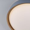 Paul Neuhaus Q-EMILIA Lampa Sufitowa LED Szary, Wygląd drewna, 1-punktowy, Zdalne sterowanie
