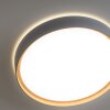 Paul Neuhaus Q-EMILIA Lampa Sufitowa LED Szary, Wygląd drewna, 1-punktowy, Zdalne sterowanie