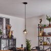 Koyoto  Lampa Wisząca Szkło 15 cm Przezroczysty, Przydymiony, 1-punktowy