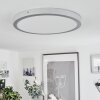 Finsrud Lampa Sufitowa LED Srebrny, 1-punktowy