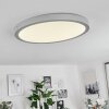 Finsrud Lampa Sufitowa LED Srebrny, 1-punktowy