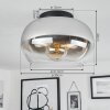 Molloy Lampa Sufitowa Chrom, Przezroczysty, Przydymiony, 1-punktowy